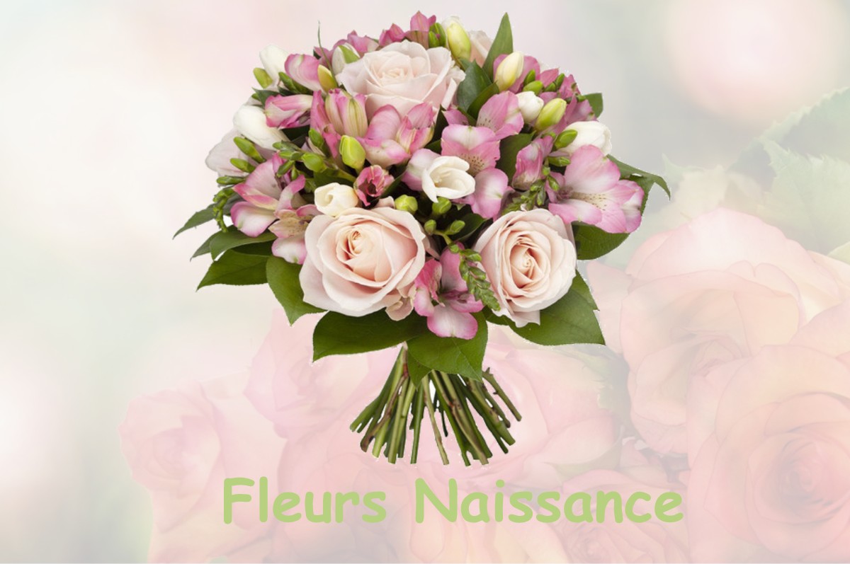 fleurs naissance LE-VERNOIS