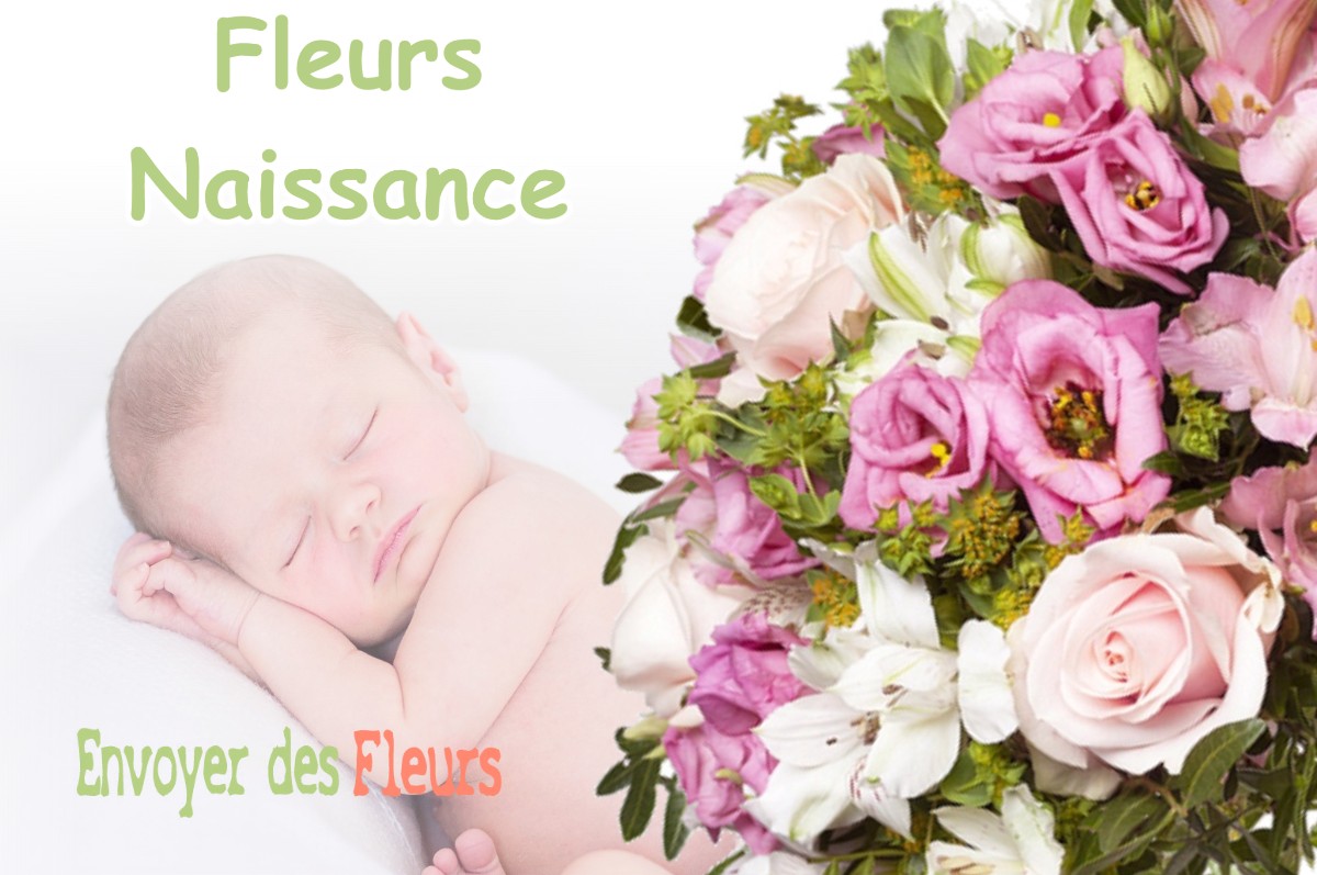 lIVRAISON FLEURS NAISSANCE à LE-VERNOIS